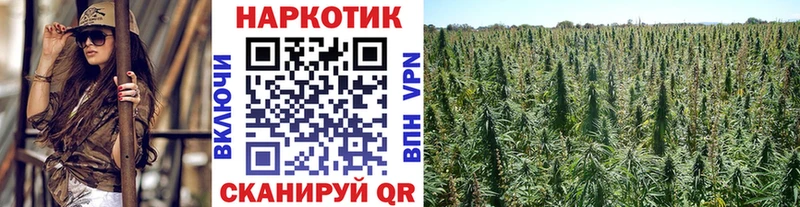 Где найти наркотики Кострома Амфетамин Экстази Канабис ГАШИШ Псилоцибиновые грибы