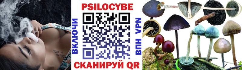 даркнет официальный сайт  Кострома  Псилоцибиновые грибы GOLDEN TEACHER 